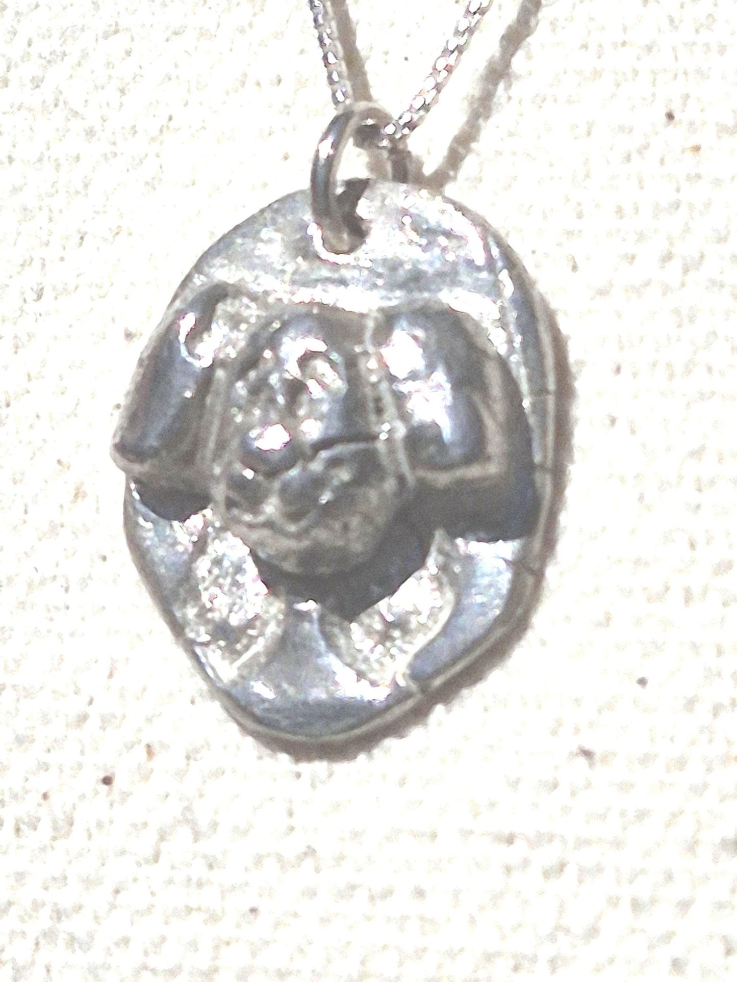 Dog Memorial Pendant Crossing Rainbow Bridge Charm Sterling Silver - Gems by Gigi