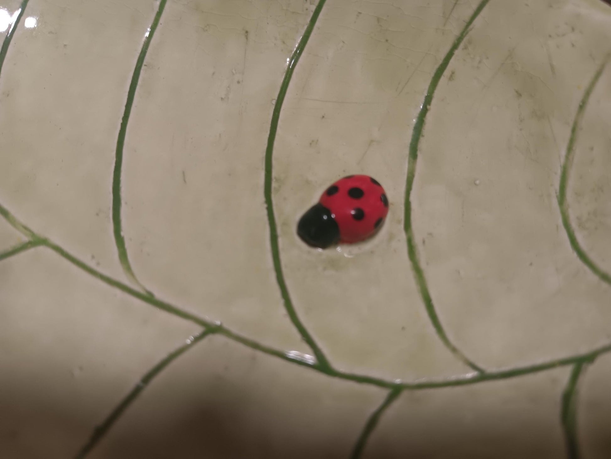 Green Ceramic Leaf Dish Set Worm Ladybug Water - Gems by Gigi