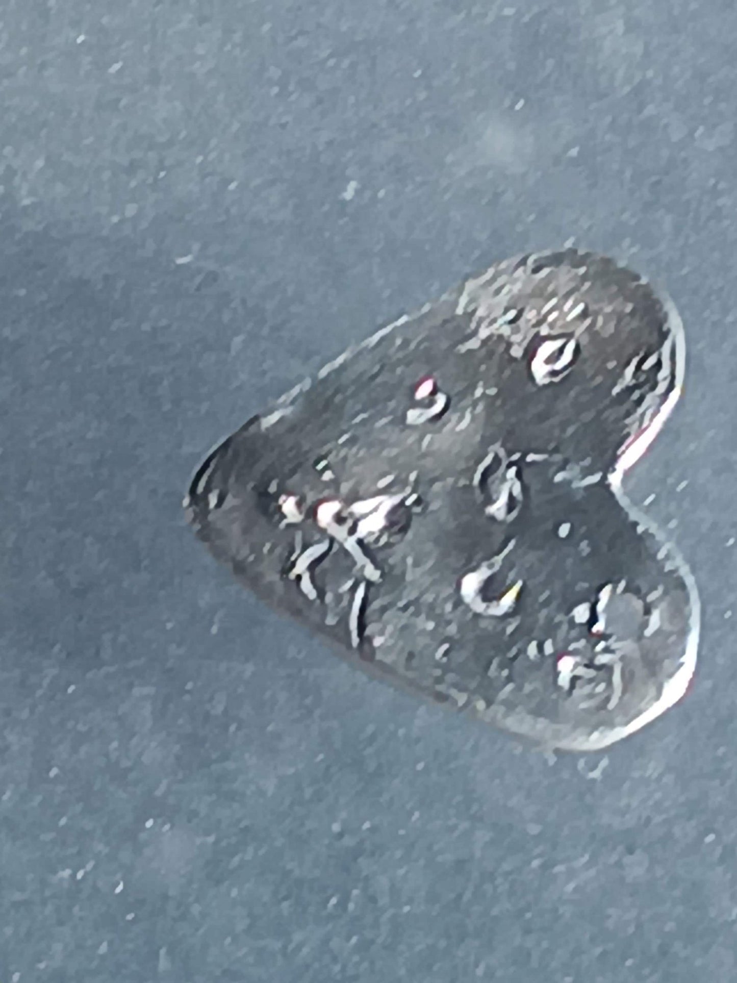 Heart Cat Kitty Sapphire Charm Fine Silver 999 - Gems by Gigi