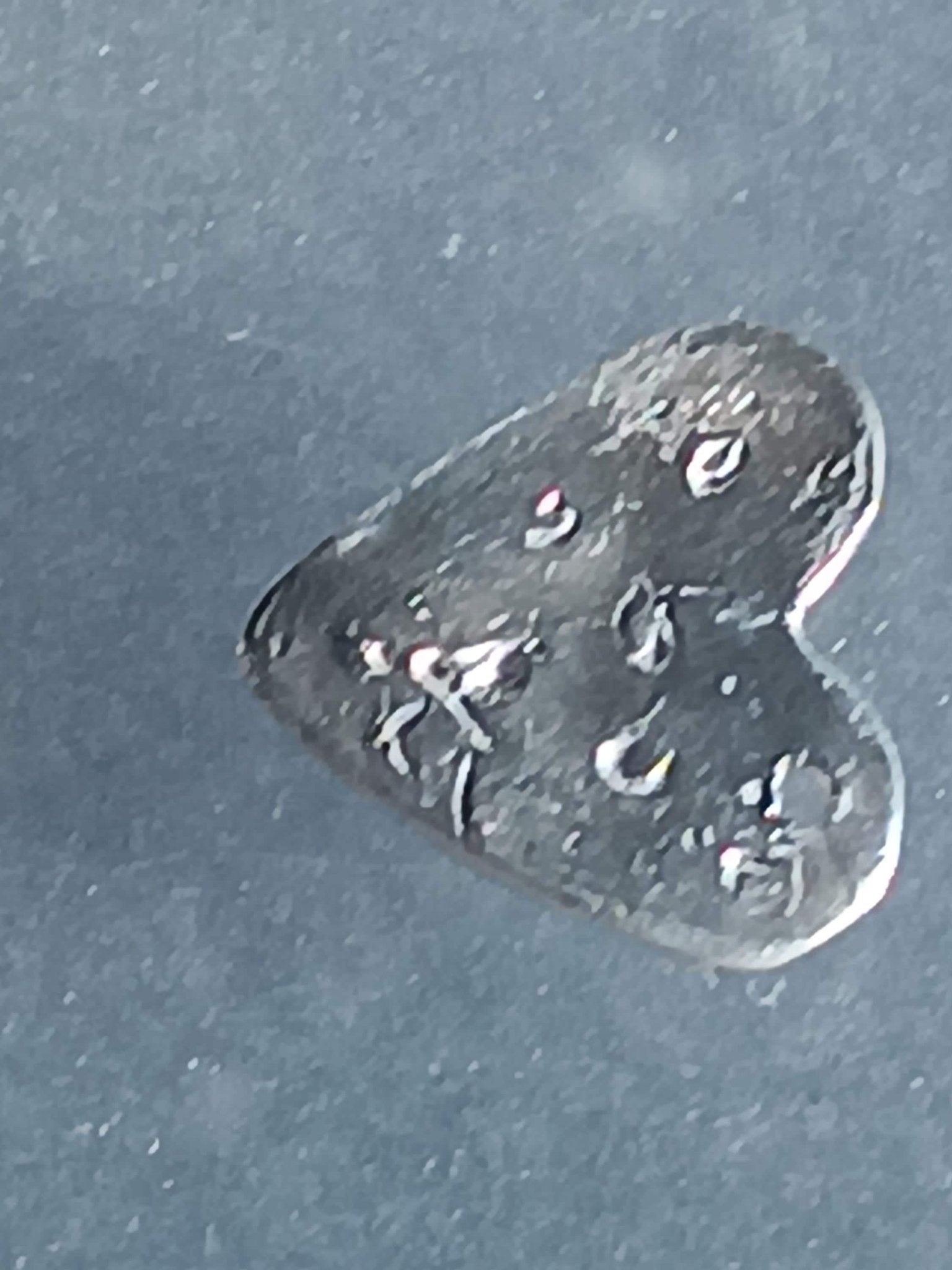 Heart Cat Kitty Sapphire Charm Fine Silver 999 - Gems by Gigi