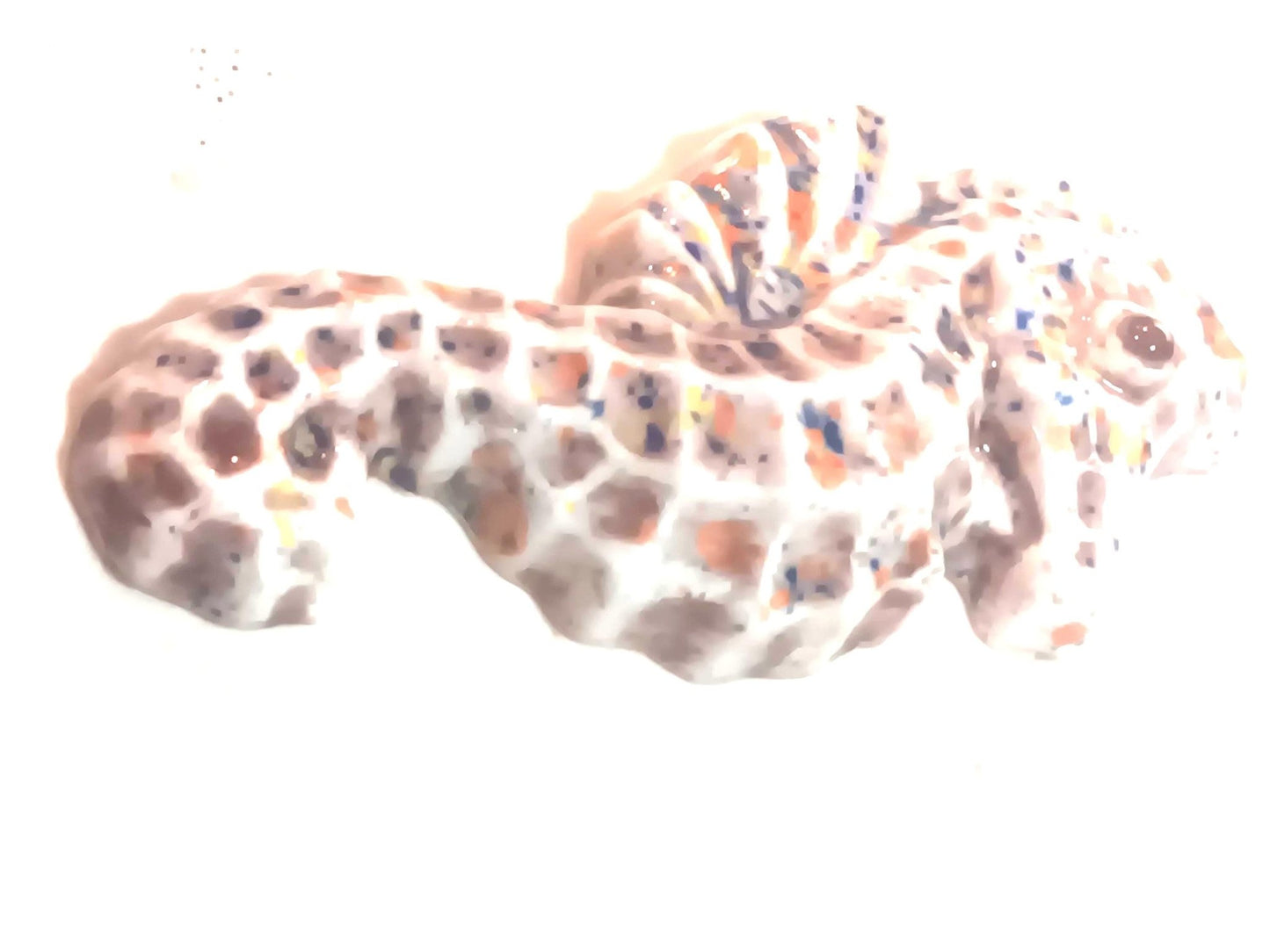 Unique ceramic mini wall art, Seahorse Set, Ceramic, Wall hanging, Tile wall art, Beach décor, Clay - Gems by Gigi