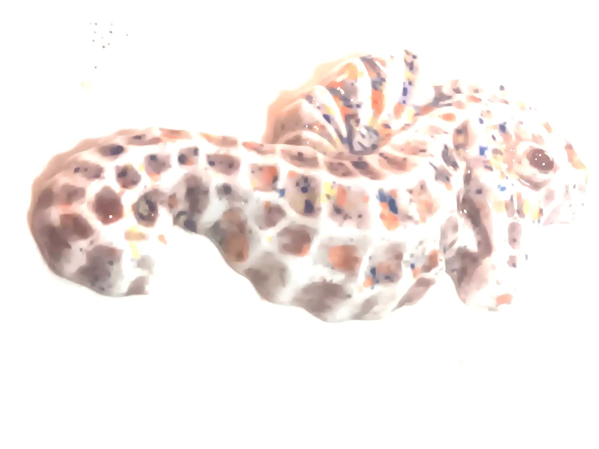 Unique ceramic mini wall art, Seahorse Set, Ceramic, Wall hanging, Tile wall art, Beach décor, Clay - Gems by Gigi